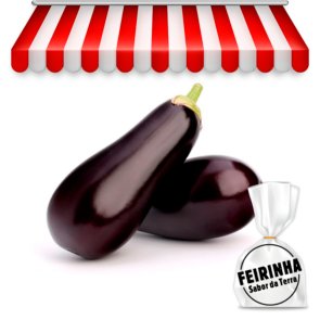 FEIRINHA - Berinjela