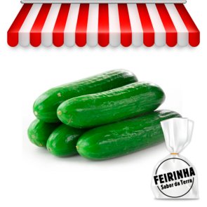 FEIRINHA - Pepino