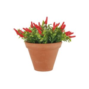 Pimenta Vaso