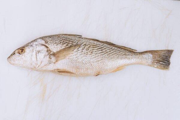 Corvina Inteira R$13,90 Kg  - Aproximadamente 1660g