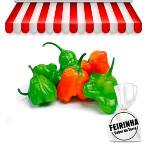 FEIRINHA - Pimenta Cambuci